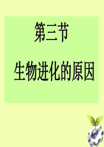 第四节《生物进化的原因》