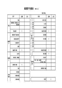 个人资产负债表损益表及建议