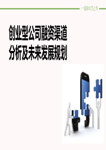 创业型公司融资渠道分析及未来发展规划黄