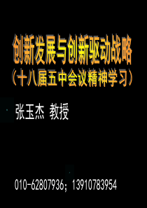 创新发展与创新驱动战略张玉杰