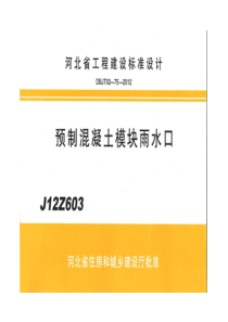 J12Z603预制混凝土模块雨水口