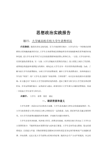 思想政治理论课社会实践报告