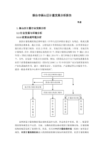 计量发展分析报告