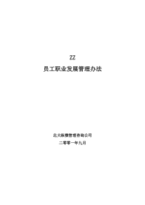 北京ZZ房地产公司员工职业发展管理办法