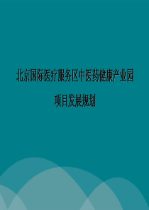 北京国际医疗服务区中医产业园项目发展策略研究