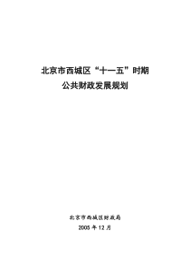 北京市西城区“十一五”时期公共财政发展规划doc-西城区