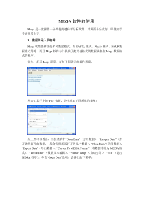 MEGA软件的使用