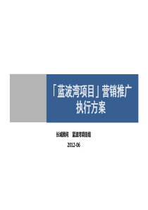 某三线城市房地产项目营销推广执行方案经典案例