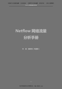 Netflow网络流量分析手册