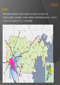 区域分析和产业发展分析-113