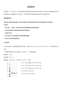 标签抗体该如何选择？