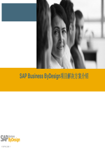 PRO_SAP-ByD-解决方案