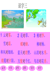 小学语文一年级下册识字三课件 (1)