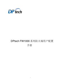 DPtech-FW1000系列防火墙系统用户配置手册