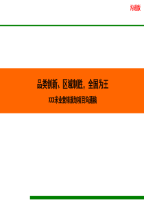 (企业战略+品牌规划