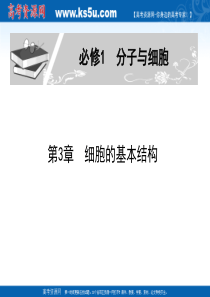 2011届生物高考一轮复习课件：必修1 第3章 第1节 细胞膜―系统的边界