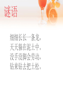 阅读课《蚯蚓的日记》