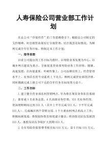 人寿保险公司营业部工作计划