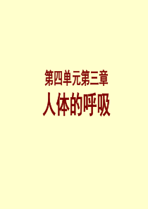 《人体的呼吸》复习用课件