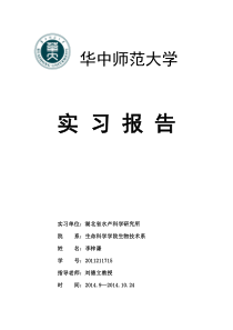 华中师范大学实习报告