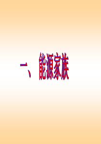 能源家族