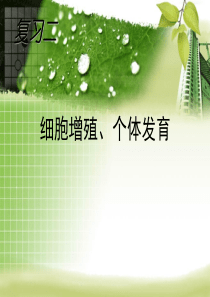 高考复习专题课件系列-复习2-1：细胞增殖、个体发育-旧人教