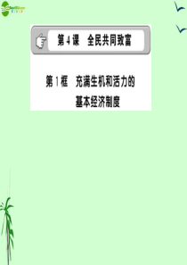 2011年九年级政治 2.4.1 充满生机和活力的基本经济制度课件 鲁人版