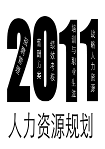 2011年人力资源规划草案