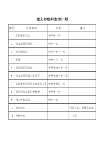 党支部组织生活计划