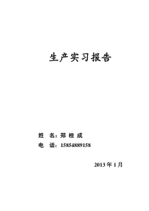 化工专业生产实习报告