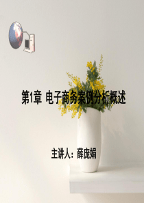 第1章+电子商务案例分析概述