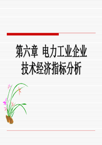 6 第六章 电力工业企业主要技术经济指标分析