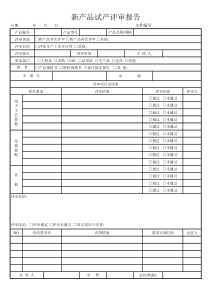 试产评审报告