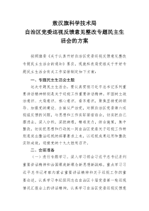 自治区巡视反馈意见整改专题民主生活会方案