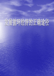 发展循环经济的正确途径(ppt 28)