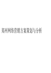 郑州网络营销方案策划与分析