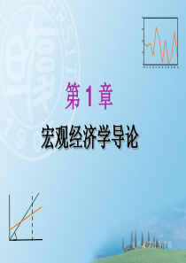 宏观经济学(复旦袁志刚)