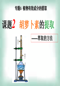 2013年最新高中生物精品教学课件： 胡萝卜素的提取(6)(人教版选修1)