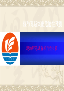 37现场应急处置和自救互救