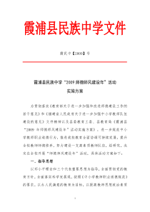 师德师风建设年实施方案