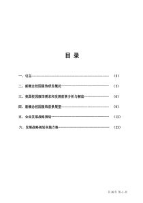 发展战略规划书(修改正版)