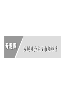 发展社会主义市场经济