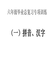 s版六年级语文小升初总复习专项练习题