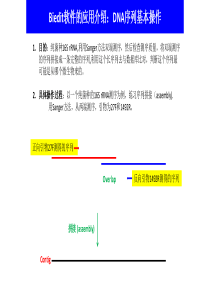 Bioedit操作指南