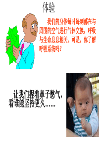 呼吸一呼吸道和肺(推荐完整)