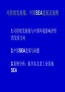 可持续发展观、中国SEA进展及案例