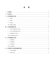 《五粮液集团有限公司财务分析报告》