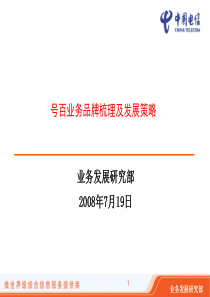 号百业务品牌梳理及发展策略--中国电信