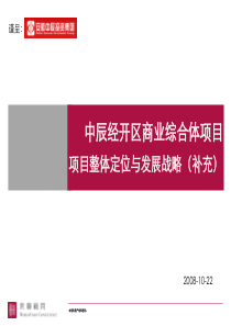 合肥中辰商业综合体项目项目整体定位与发展战略