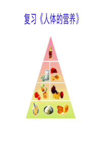 人教版七年级生物下第四单元第二章《人体的营养》--复习课件-(共21张PPT)